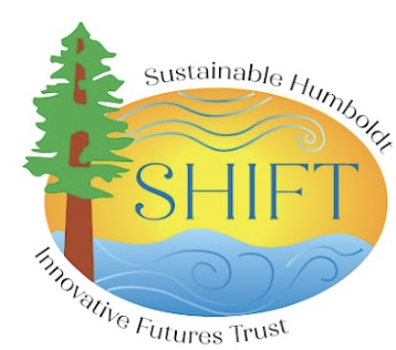 Temporary SHIFT logo with a redwood tree, waves, and a sun, matching the style of the previous logo