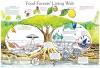 illustration depicting the various items that contribute to a food forest.